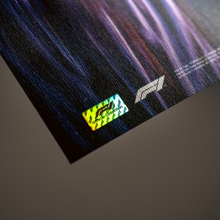 FORMULA 1 LAS VEGAS GRAND PRIX 2025 | Automobilist Official Poster